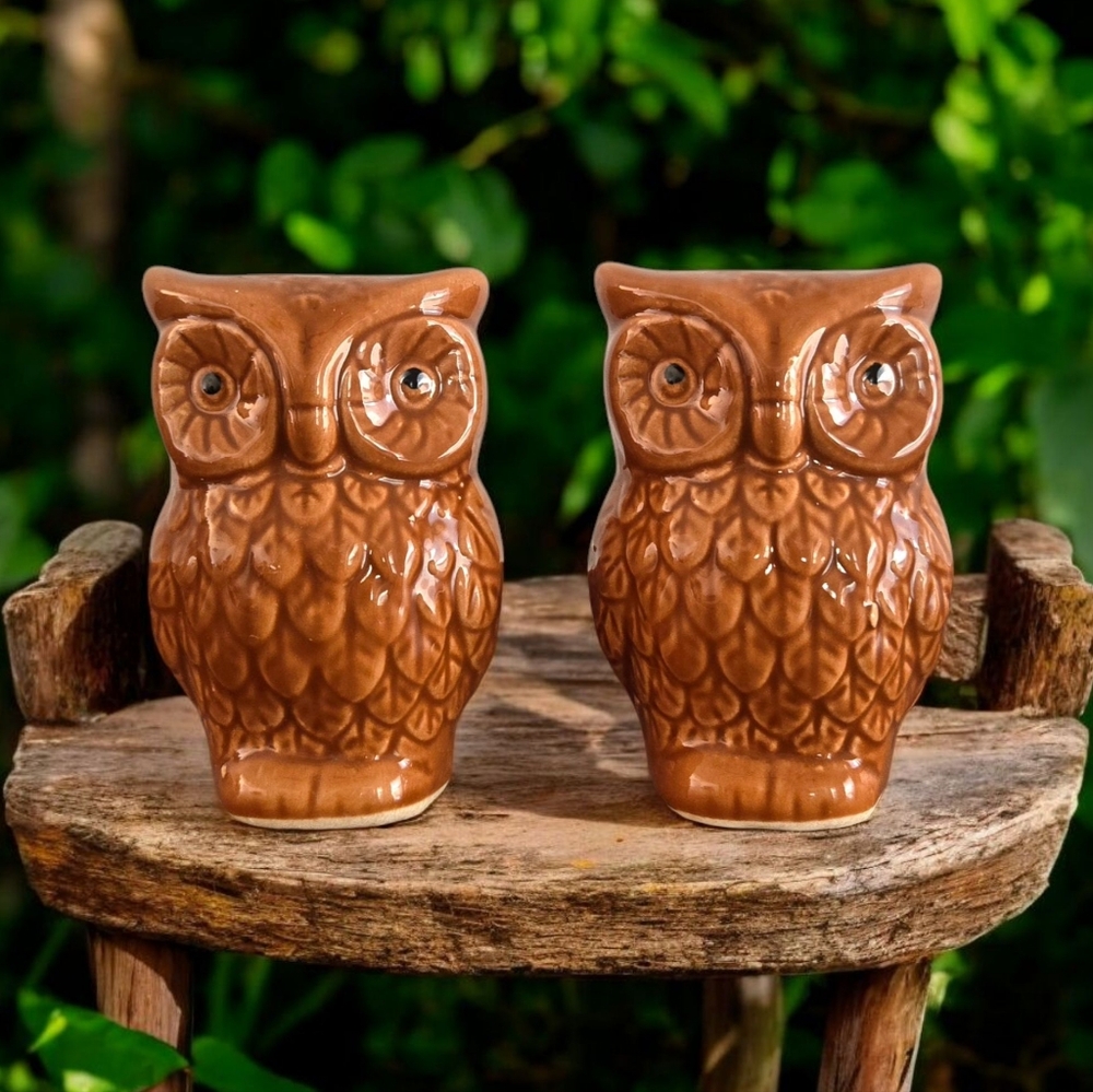 Vintage Owl Salt & Pepper Set, Rustic Cabin Witchy Familiars Forest Cottagecore
